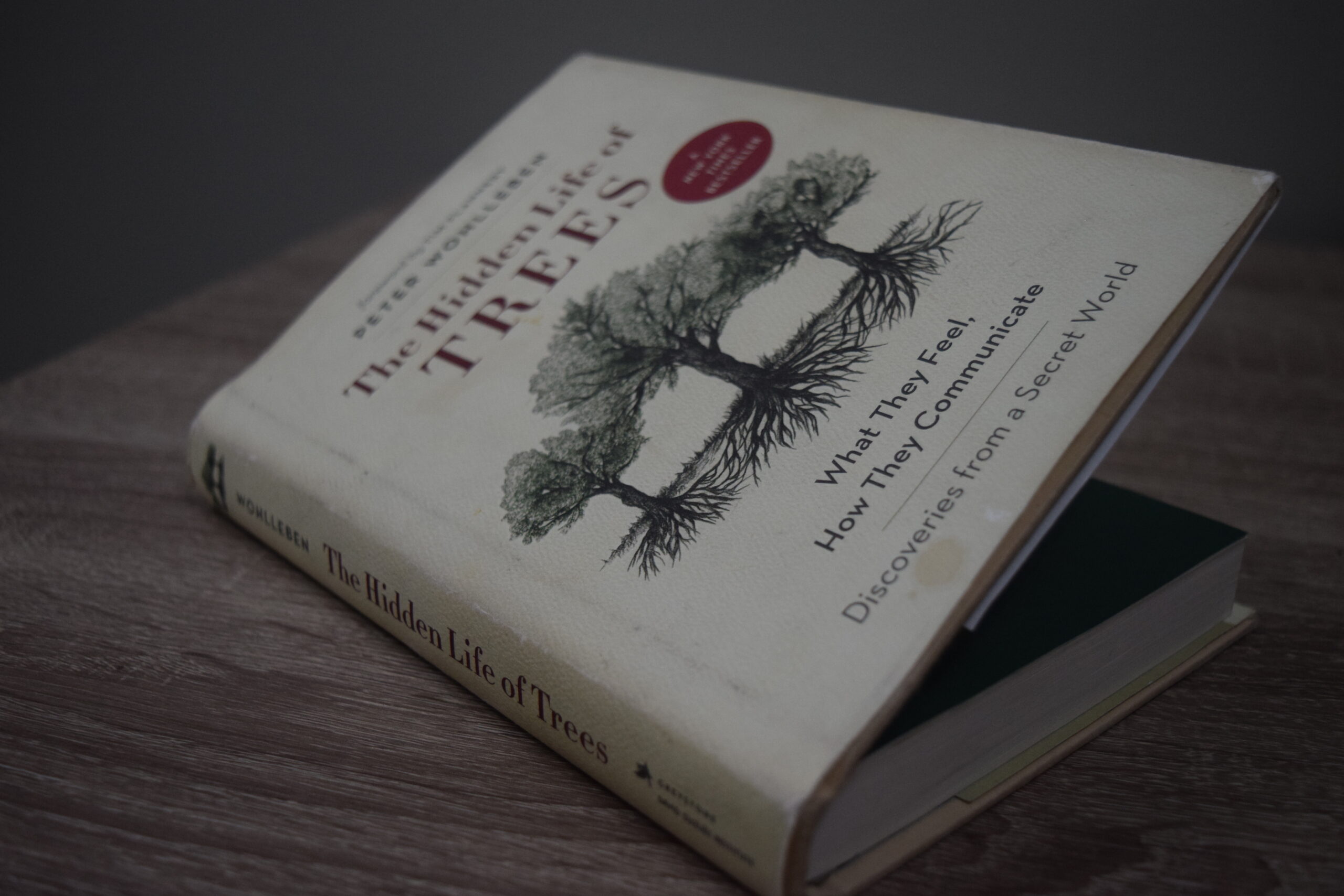 The Hidden Life of Trees