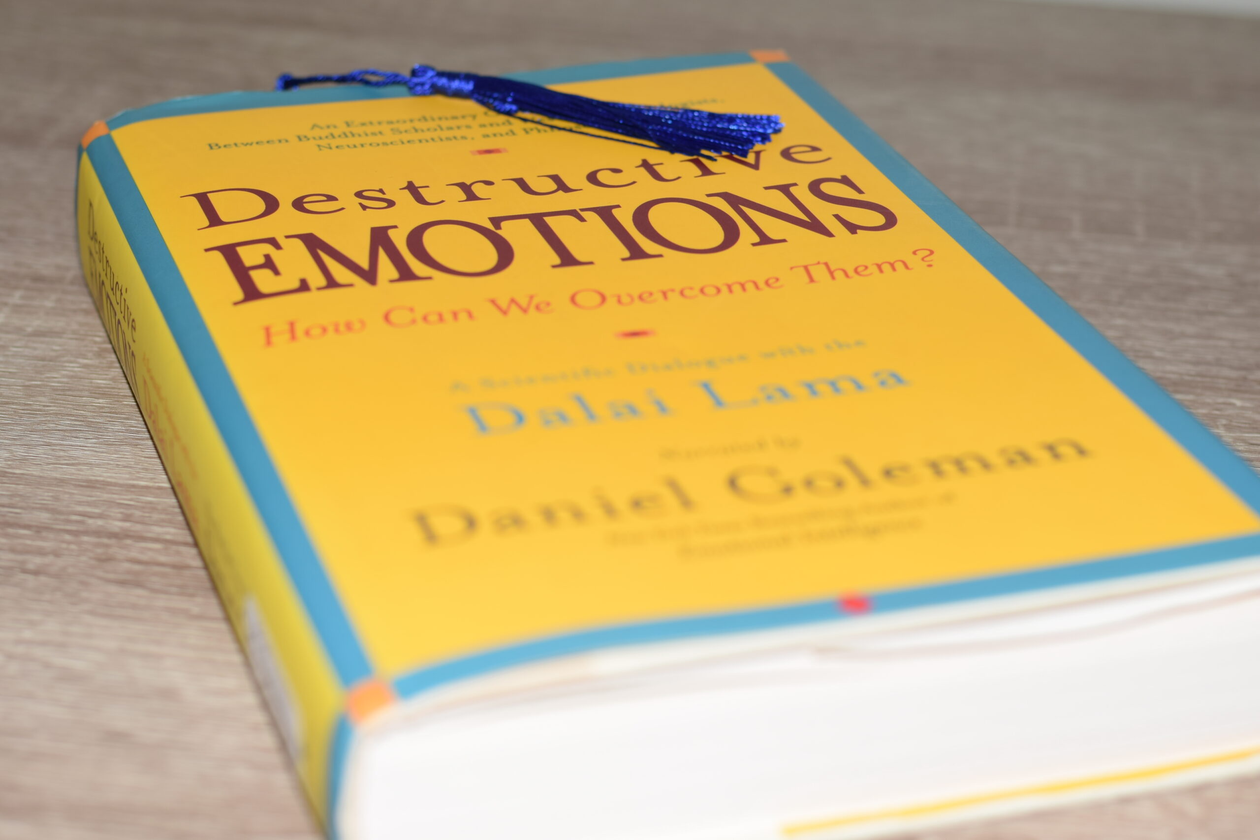 Destructive Emotions